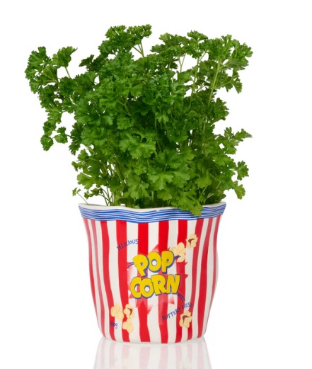 Porta Pop Corn in ceramica - immagine 4